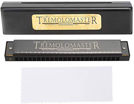 Professionelle Harmonica, 24-Loch Mundharmonika für Musiker Lehrer und Hobbyisten Blasinstrument for professionelle Aufführungen Unterricht und Freizeitmusik