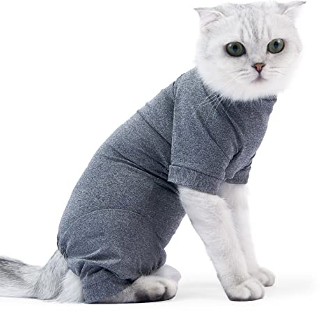 BT Bear Cat Professional Recovery Suit für Bauchwunden oder Hautkrankheiten, E-Halsband Alternative für Katzen und Hunde, nach Operationen, Pyjamaanzug (M, Grau)