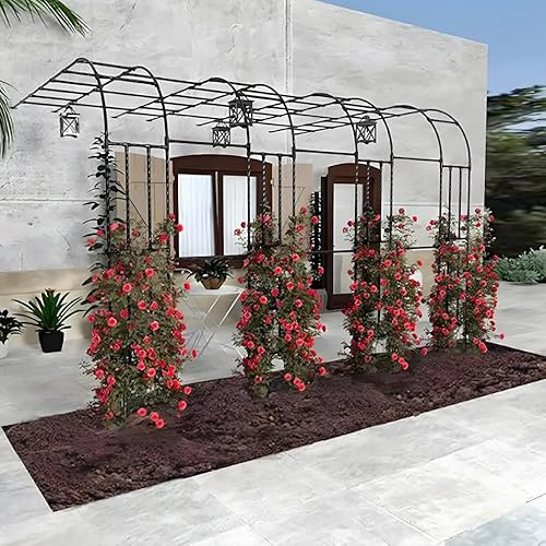 Demi treillis d'arche de jardin extérieur – Cadre en métal pour plantes grimpantes pour terrasse, pelouse et arrière-cour, tonnelle de mariage – Treillis de jardin 150 x 240 cm