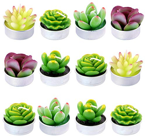 Swpeet 12Pcs Decorative Succulent Cactus Tealight Candles Kit, Cute Smokeless Succulent Plants Perfect for Candles Festival Wedding Props and House-Warming Party (N0.5-Candle)