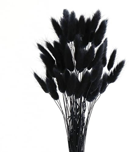 Diyxisk Pampas Grass Bouquet,50 Pcs Natural Phragmites Dried Flowers,Bunny Tail Grass Boho Decor,Suitable for Vase Wedding Dining Table Room Home Decor Accessories Living Room（Black）