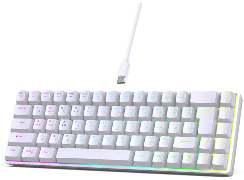 Plyisty Russische und Englischsprachige Tastatur, 68 Tasten USB Wired Gaming Mechanical Tastatur, mit RGB -Hintergrundbeleuchtung (White)