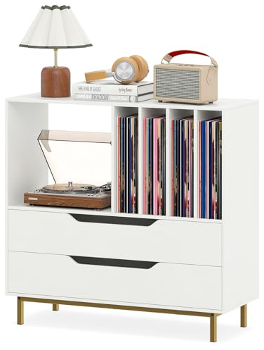 COSTWAY Meuble Vinyle avec 2 Tiroirs, Rangement Platine Vinyle 5 Compartiments, Support de Tourne-Disque pour CD/DVD, Grand Meuble HiFi pour Salon, Chambre (Blanc)