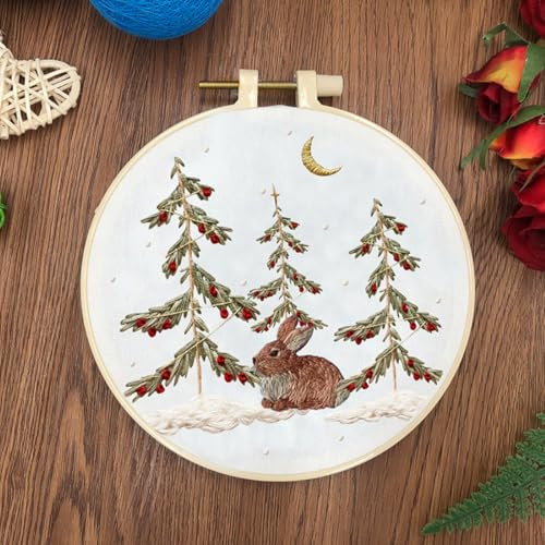 N.LANSHAN 2Pcs Sticken Set Erwachsene Stickmuster Für Winterhütten，Stickset Mit Kaninchenmotiv Für Erwachsene，Stickmuster Für Anfänger，Stickrahmen，Bastelset Zum Selbermachen 30x30cm