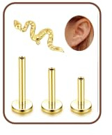 Adramata G23 Titan Helix Piercings Conch Tragus Piercing Ohr Gold/Silber | 16G Innengewinde Medusa Labret Piercing,Lippenpiercing,Medizinische Ohrstecker,Klein Knorpel Ohrringe Damen