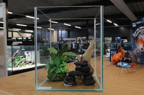Nano Aquarium 15x15x15 cm – Vollglasaquarium aus Floatglas – Modernes Design Mini Aquarium für Garnelen, Aquascaping & Pflanzen
