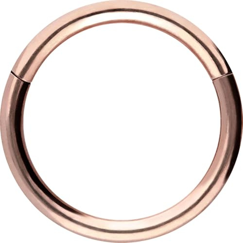 PIERCINGLINE Segmentring Clicker aus Chirurgenstahl - Piercing Ring in Gold, Silber, Rose, Schwarz oder Blau - für Nase, Septum, Ohr, Helix oder Tragus