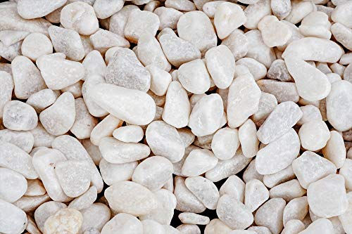 Piedra Decorativa para Jardin e Interior Guijarro (Blanco, 4,5Kg)