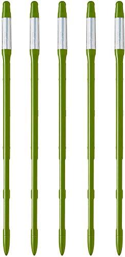 SUStee Indicateur d'arrosage pour Plantes (Lot de 5, Grand, Vert) - pour Toutes Les Plantes, Fonctionne dans Tous Les sols | Design Minimaliste, Facile à Utiliser, sans Piles | 100% Made in Japan
