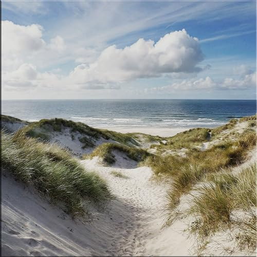 artissimo, Glasbild, 30x30cm, AG5501A, Landschaft/Natur: Dünengras/Standgräser, Bild aus Glas, Wandbild Wohnzimmer modern, Strand und Meer, Dünen