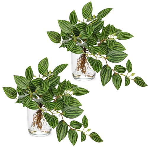 Arborus 2 STK Künstliche Pflanzen im Glas 22 cm Kunstpflanzen Peperomien | Fake Grünpflanzen Plastik Zimmerpflanzen auf Tisch Regal Fensterbank Deko Modern Boho Rustikale Landhausstil Innen Deko