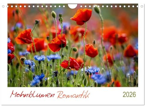 Mohnblumen Romantik (Wandkalender 2026 DIN A4 quer), CALVENDO Monatskalender: Mohnblumenfelder und Blüten (CALVENDO Orte)