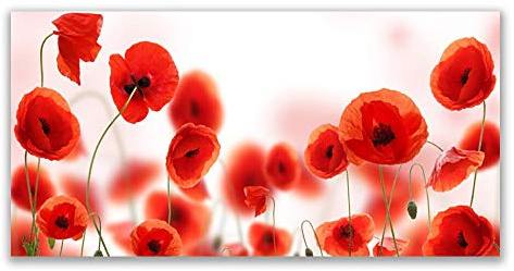 Tulup Splashback - 140x70cm Backsplash Cooker Hob Wall Splashback - Kitchen Wall Panels - Heat Resistant - Toughened/Tempered Safety Real Glass - Poppies Floral