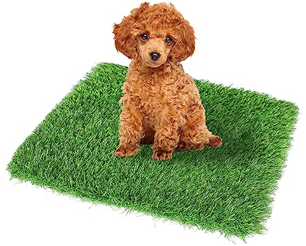 GLOBREEN Kunstrasenunterlage für Hunde, 48,3 x 73,7 cm, für Haustiere, Welpen, Kunstrasen, dicke und hohe Drainage, für den Innen- und Außenbereich