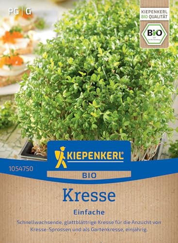 Kiepenkerl BIO Kressesamen Einfache 1054750 - Schnellwachsende Sorte - Kresse-Sprossen - Gartenkresse - Inhalt für 3-4 qm - Kräutersamen, Saatgut
