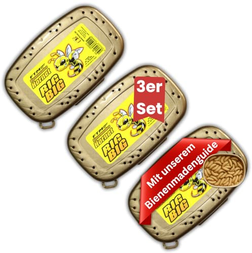 Lebende Bienenmaden – 3er Set Big Big - Premium Angelköder für Forellen & Saibling – Frische, aktive Ködermaden für Pose, Grundblei & Sbirolino – Lebendfutter – mit ELBKAISER Bienmadenguide