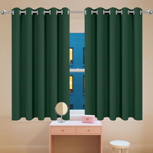 FEIJDON Gardinen Vorhang 90 x 210 cm Gardine Schlafzimmer Ösen Thermo Blickdichte Gardinen Schlafzimmer Curtains mit Ösen, Waschbar für Fenster Wohnzimmer, Dunkelgrün