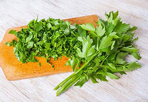 Heirloom Lovage 50 Seeds