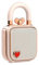 Divoom Love-Lock - Altavoz Bluetooth pequeño, Caja de música portátil, estéreo inalámbrico, Caja de Sonido Retro, Bonita decoración de Escritorio, para niñas, Color Rosa