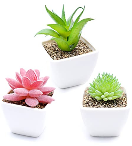 Cisolen 3 Stück Mini Künstliche Sukkulenten Pflanzen mit Topfpflanzen Set Dekorative Gefälschte Sukkulenten Pflanze für Home Office Schreibtisch Tisch Balkon Dekoration DIY Geschenk