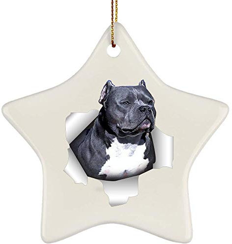 Weihnachten Ornamente Keramik Christbaumschmuck Anhänger Mit Schnur Weihnachtsanhänger Weihnachtsbaumschmuck Lustiger American Bully Blau Schwarz Kommt Aus Rissiger Wand