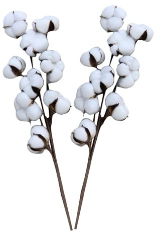 Ramo di cotone, 4 pezzi, ramo di cotone essiccato, bouquet di fiori secchi, decorazione per matrimonio o decorazione da tavolo, in cotone Dried Flowers