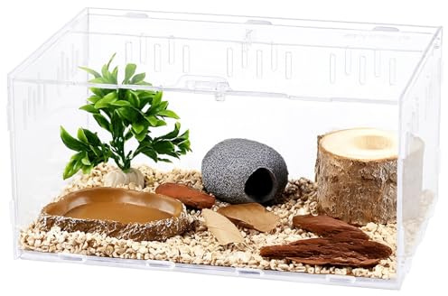 Schnecken Terrarium,30 x 20 x 15 cm Acryl Terrarium Reptil Fütterungsbox Transparent, durchsichtiger Deckel mit starker Befestigung,für kleine Reptilien,einfacher Aufbau
