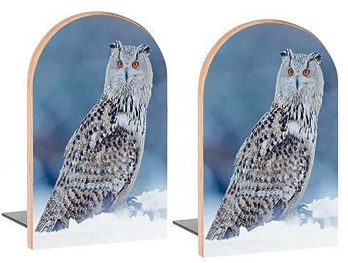 Buchstützen aus Holz, Motiv: kalte Winter-Schnee-Eule, dekorative Buchstützen für Regale, Schreibtisch, Zuhause, Büro, Buchstopper für Zeitschriften, Bücher, DVDs, 2 Stück