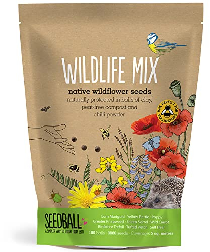 SEEDBALL Wildlife Mix Seed Bombs – 100 Seed Balls Per Pack | Bee Friendly British Wild Flower Seed Mix | Beautiful Coloured Garden Flower Seed Bombs for Bees, Birds & Other Garden Wildlife