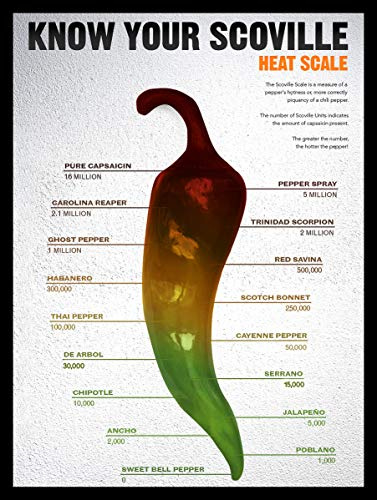 Shawprint Limited KNOW YOUR SCOVILLE HEAT SCALE RETRO METAL TIN WALL PLAQUE SIGN NOVELTY GIFT KITCHEN (267mm x 200mm (10 x 8))