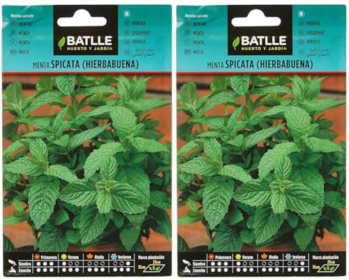 Graines aromatiques de Batlle - Menthe verte/Mentha spicata (0,2g) (Lot de 2)