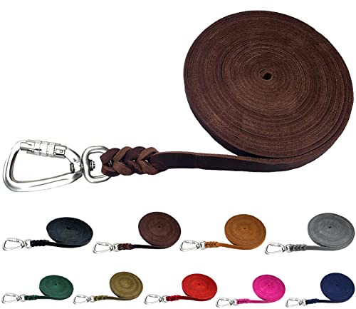 Hundeleine Fettleder Schleppleine große Hunde 1m / 2m/ 3m / 5m / 10m / 15m / 20m Lederleine 15mm breit (Braun, 3m MIT Handschlaufe)