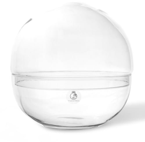 27cm Glass Globe Terrarium Container for Tropical Plants, Moss, Ferns, Ficus Bonsai, Spherical Vase for Fairy Garden - Indoor Plant Ecosystem, Landscape Container for Plant Arrangements, Closed Jar