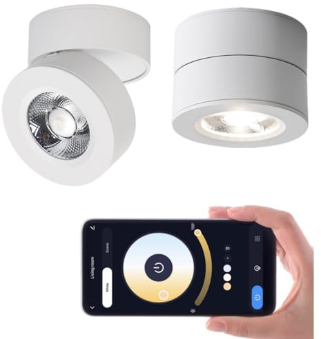 Yodaba Dimmable LED Ceiling Spotlight 360°Adjustable -Tuya Smart Life Surface Mounted 12W COB Art Lighting-Hard Wired Ceiling Downlight for Mural Display Corridor Background Wall (White, 3.90*2.84)