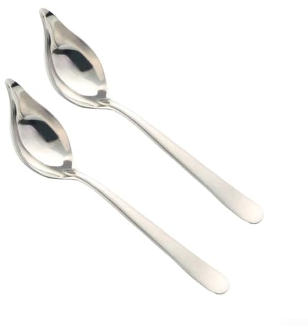 Besshepplo 2Pcs 304 Stainless Steel Seasoning Spoon Sauce Spoon For Salad And Dessert Sauces And Gravy(Silver)