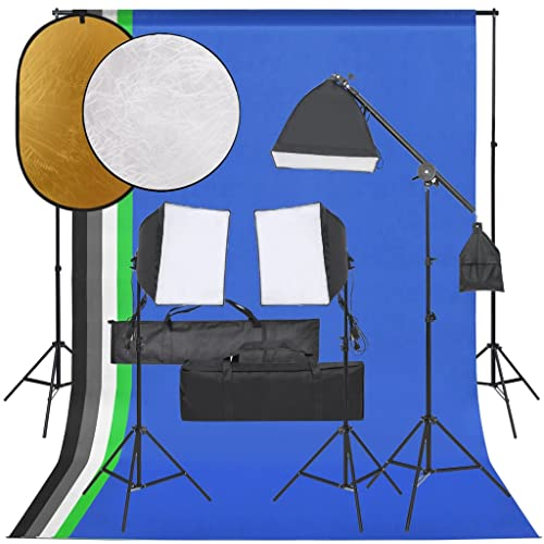 vidaXL Fotostudio-Set mit Beleuchtung, Hintergrund und Reflektor, Studio-Kit, Tageslicht-Lampe, Studio-Beleuchtung-Set, Studio-Licht, Fotografie-Licht