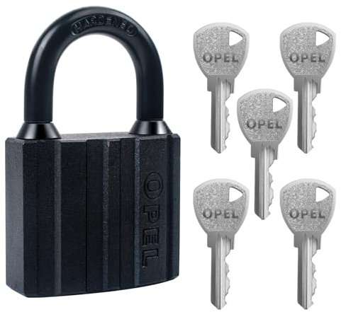 Lucchetto resistente con 5 chiavi, per contenitori per capannoni, magazzini, garage, persiane, unità di stoccaggio, capannoni, garage, recinzioni (50 mm)