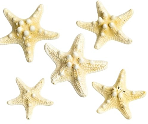 Tissting 5 Stück Seesterne Deko 5-7.5 cm Große Sternfisch Muscheln | zum Basteln Sandornament Strand Themendekoration für Heimwerker, Aquarium, Weihnachtsbaum