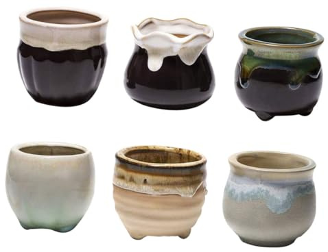 Levemolo 6 Piezas Macetas para Suculentas con Drenaje Maceteros Pequeños para Plantas de Interior Decoración de Jardín y Bonsáis Tiestos Modernos para Cactus y Flores