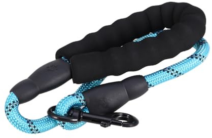 GARVALON Reflektierende Hundeleine aus Nylon für Kleine Hunde Trainingsleine und Joggingleine Praktische Kurze Führleine in Sicherer Spaziergang und Kontrolliertes Training