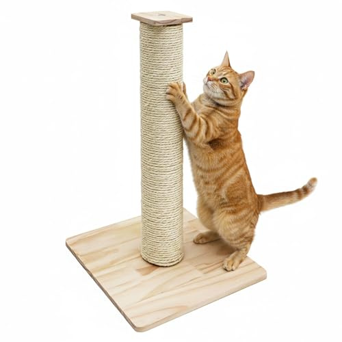 eyepower 62 cm Árbol Rascador para Gatos y Gatitos - 9,2 cm Poste de Cuerda Sisal con Base de Bambú - Palo M8 para Uso en Interior - Accesorios para Gato Adulto y Pequeño - Torre sobre Placa de Madera