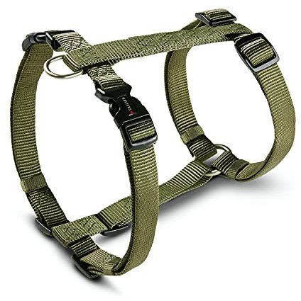 Wolters Geschirr Professional, Größe:XS 25-35 cm x 10 mm, Farbe:Olive