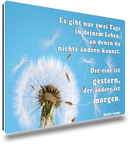 TRIOSK Kühlschrankmagnete Motivation Sprüche Magnet Pusteblume lustig mit Poesie Spruch Zwei Tage Geschenk Zitat Weisheit für Blumenliebhaber Kühlschrank stark eckig groß 85x55 mm