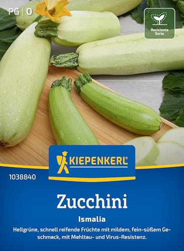 Kiepenkerl Zucchinisamen Ismalia 1038840 für 6 Pflanzen - Robuste Gemüsesamen für schnell reifende, hellgrüne Zucchini, Gemüsesamen ideal für Grillen und Rohkost