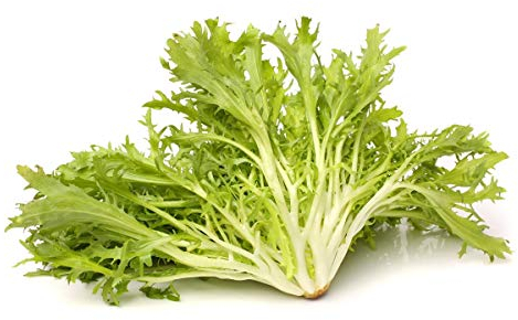 EscarolaCatalogna Puntarelle di Gaeta - alto valor nutricional - semilla