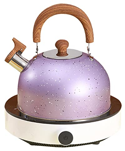 Bouilloire À Flûte En Acier Inoxydable,Bouilloire Sifflante,2 L Bouilloire En Acier Inox,Théières Pour Cuisinière,Résistante À Chaleur,Poignée Anti-brûlure Ergonomique Isolée Pour Cuisinière Feux