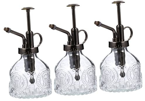 Arrosoir, bouilloire en verre, récipients en verre for terrarium succulent, for liquides, décoration de pelouse extérieure, pulvérisateur rétro en verre for plantes, vaporisateur à gâchette, bouteille