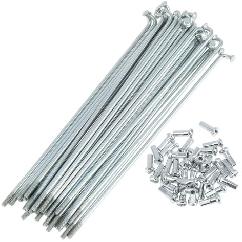 A ABSOPRO Set di 36 Raggi per Bicicletta 13G, Raggi per Ruota Bici 13G in Acciaio al Carbonio Zincato, tonalità Argento