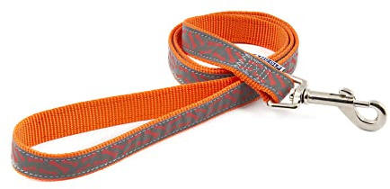 Ancol Patterned Collection Hundeleine, Knochen, reflektierend, Nylon, für Welpen, wetterfest, langlebig, 1 m lang, 19 mm breit, Orange