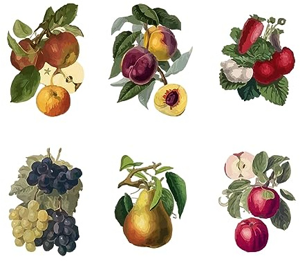 SUPERDANT Vintage Frutta Adesivi Murali Uva Pesche Decalcomanie Da Muro Frigoriferi Cucina Dispensa Adesivo Da Parete Immagine Artistica Decorazione per Cucina Vivaio Dispensa